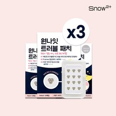 원나잇트러블패치