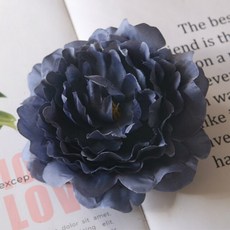 6a8a9ce71e6886c13828c0c95f86a3cdaafcf3d7906ee3a6e5109a70e0cb.jpg
