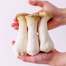 무농약 GAP 인증 새송이버섯 특/상/미니 (1kg/2kg), 무농약 새송이버섯 상 1kg, 1개