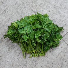 2f554ad678c93852e41df9d415d569dafe7c9d6b6573a8288107d6d6b7c7.jpg