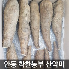 안동참마 중품 5kg (정직을 배달합니다)