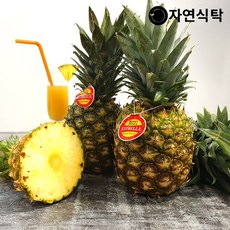[자연식탁]필리핀 골드파인애플 4수 개당 1kg내외, 없음, 상세설명 참조
