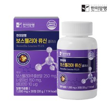 한미양향 보스웰리아 류신 플러스 관절 연골 건강 영양제 1000, 30정, 2개