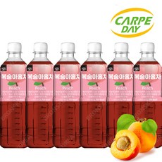 까르페 복숭아 홍차 1000ml X 6개 액상 과일 음료 아이스티 원액