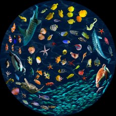 세가플라네타리움