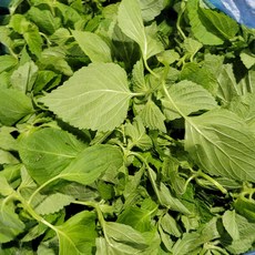 깻순