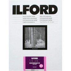 일포드 Ilford 1 x 100 MG RC DL 1M 9 13, 1개