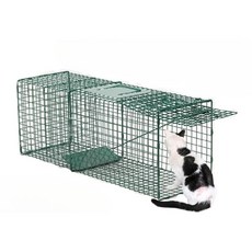 비둘기 포획틀 동물 대형 안전 구조 통덫 고양이 강아지