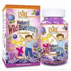 Bill Natural Sources 내추럴 와일드 블루베리 츄어블 태블릿 90정, 1개