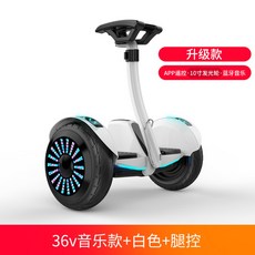 원몽드 전동휠 호버보드 나인봇, M, 36V
