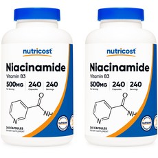 뉴트리코스트 나이아신아마이드 비타민 B3 캡슐 500mg, 240정, 2개