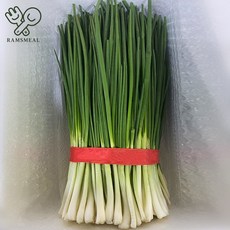 손질 쪽파