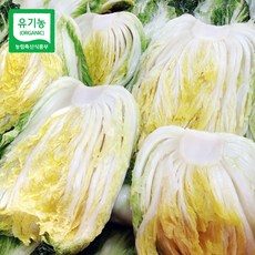 [예약/산지직송] 강원도 고랭지 유기농 절임배추 20Kg~~11월 30일 토요일 도착 분