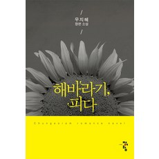 해바라기가피지않는여름