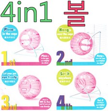 햄스터아마줄기