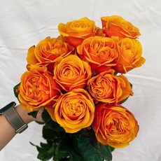8db273ea886ed90d53da1b7f18462d7d587087a722d220047af41ced7e39.jpg