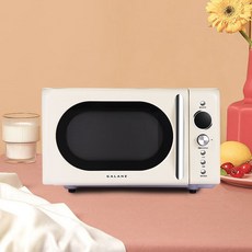 카라반전자렌지