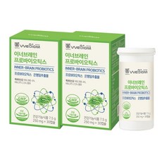 유산균 이너브레인 프로바이오틱스 은행잎추출물 캡슐, 30캡슐, 2박스