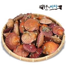경남 통영 활가리비 1kg 20~30미, 상세페이지 참조