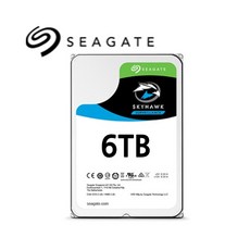 SEAGATE 시게이트 SKYHWAK 스카이호크 정품 DVR NVR 저장 보안 감시 CCTV 전용 3.5HDD SATA 6TB 7200RPM 64MB ST6000VX009 - 스카이호크6tb