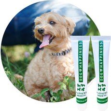  애완동물 반려견 치약 젤 치석 플라크 강아지 치주 구취 제거 구강청결제 일본, 2개 