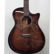 델로수제기타 G-700