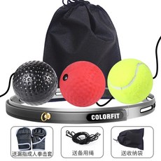 바디엑스샌드백