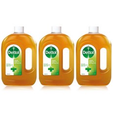 데톨 오리지널 액체 소독 살균제 750ml 3팩 Dettol Original Liquid Antiseptic Disinfectant, 3개