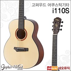 i110S, 고퍼우드 i110S_GN