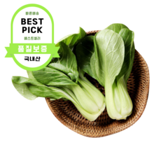 [국내산] 청경채 마라탕 샤브샤브 샐러드채소 모듬쌈 청경채박스 대량, 1박스, 4kg