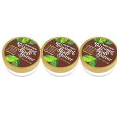 미국 트레이더조 코코넛 바디버터 크림 227g 3팩 Trader Joe's Coconut Body Butter