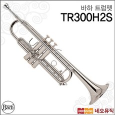 tr300h2s