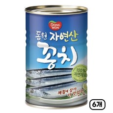 동원 자연산 꽁치 300g x 6캔, 6개