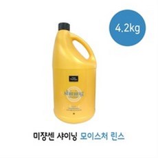 미장센펄샤이닝린스