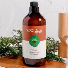 꽃피우는시간 뿌리솔솔 식물영양제 관솔농축액, 1개, 1000ml