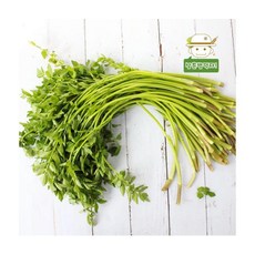 청도안중호 무농약인증 한재미나리 5kg, ONE COLOR, ONE SIZE
