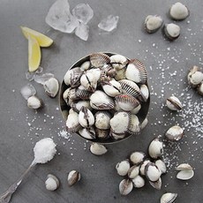 2024년 제철 벌교 여수만 새꼬막 대 2kg (kg당 75~85미 내외), 1개