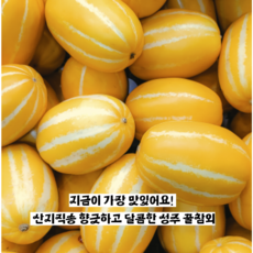 아삭하고 달콤한 제철 성주 꿀참외 1kg~ 새벽수확 산지직송 참외 가정용참외 고당도 성주꿀참외, 꿀참외[가정용/소과] 1kg(6-7과), 1개