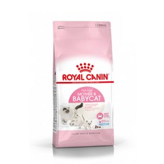  로얄캐닌 마더 앤 베이비 캣 건식사료, 1개, 6kg 