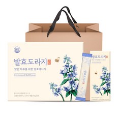 발효 도라지 스틱 10g 30포 배 수세미 도라지청 진액 스틱, 30개, 10ml