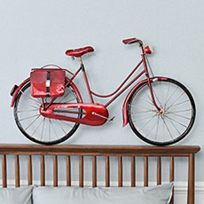 바이시클트로피