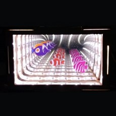 소방교승진시험과목