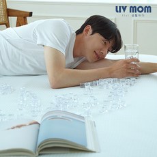 리브맘냉감패드