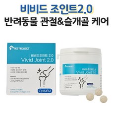 강아지 관절 영양제 슬개골 영양제 애견 영양제 관절 고양이 반려견 영양제 비비드 조인트2.0, 60정, 뼈/관절강화, 1개
