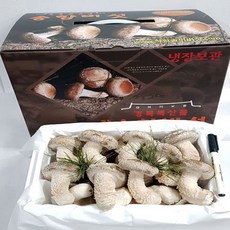송이송향버섯 (산지직송 선물용) 오전11시전주문시 내일도착(주말 및 공휴일 제외), 1박스, 알뜰형1kg