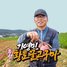 [착한농부] 기영민 무안 황토땅 꿀고구마 10kg #이렇게 달수가, 1박스, 소 10kg (40-90g이내)