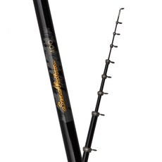 참돔타이바라대 TOP01