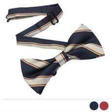 남자어린이보타이