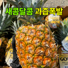 [입안 가득 달콤한] 달달스윗 고당도 파인애플 DOLE 스위티오 골드 프리미엄, 1개