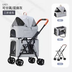 로얄테일즈이동장